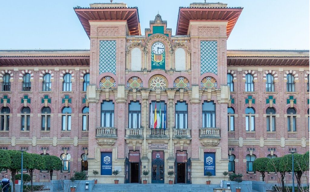 O que estudar na Universidade de Córdoba, Espanha